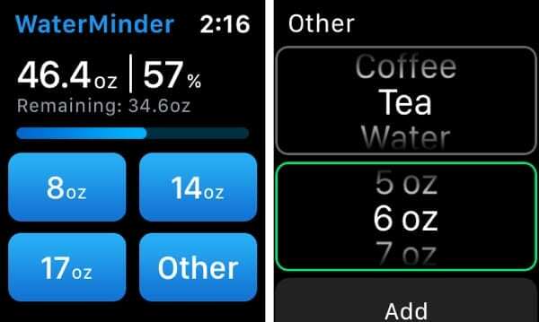 WaterMinder sur Apple Watch Ajouter une boisson