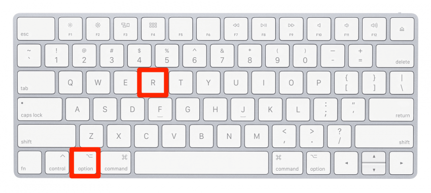 Jak wpisywać symbole na Macu: Registered Symbol Mac