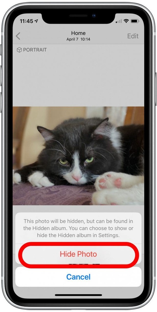 秘密の写真iphone04非表示オプションが強調表示された非表示の写真確認メニュー