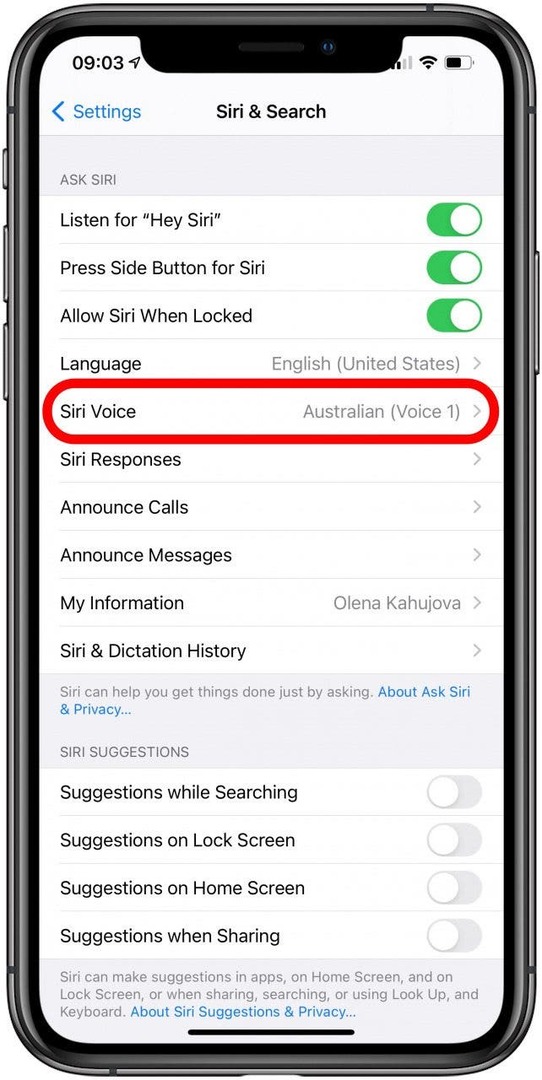 აირჩიეთ Siri Voice.