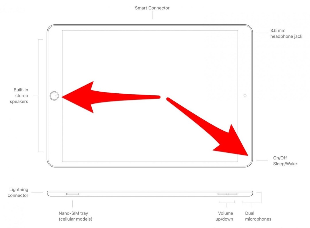 raudonos rodyklės rodo, kaip mygtukas „Pagrindinis“ ir „SleepWake“ mygtukai naudojami ekrano kopijoms daryti „iPad“ 