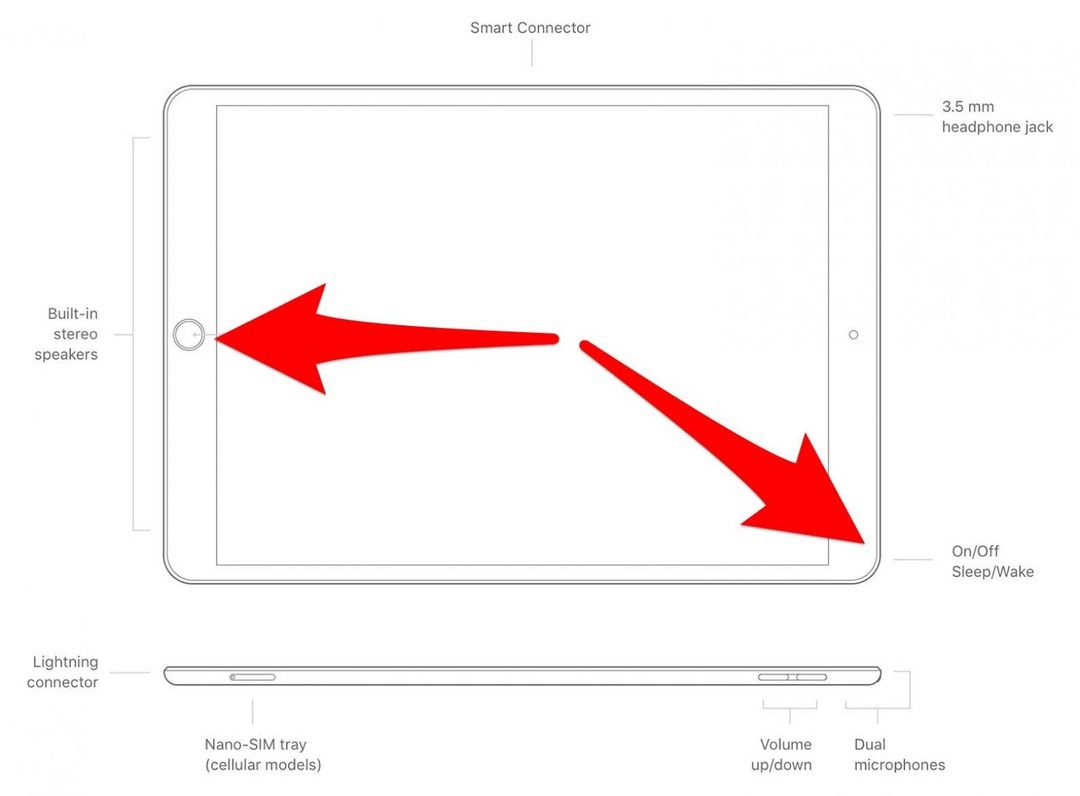 წითელი ისრები მიუთითებს, თუ როგორ გამოიყენება Home ღილაკი და SleepWake ღილაკი iPad-ზე ეკრანის ანაბეჭდების გადასაღებად 