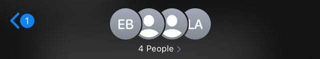 Iconos de perfil de llamada de conferencia grupal FaceTime en la aplicación Mensaje