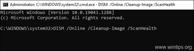 DISM Çevrimiçi Temizleme-Görüntü ScanHealth