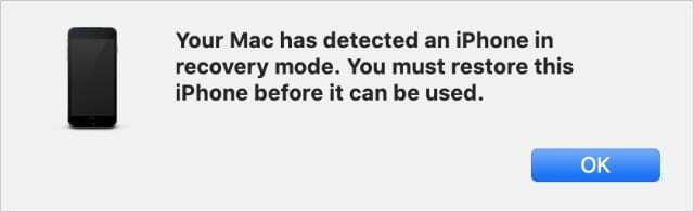 Mac이 복구 모드 팝업 경고에서 iPhone을 감지했습니다.