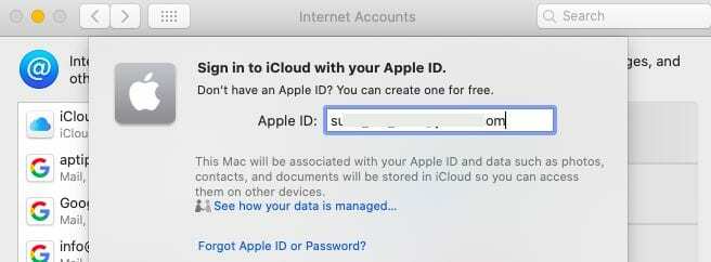Internetové účty macOS Catalina přihlášení do iCloudu