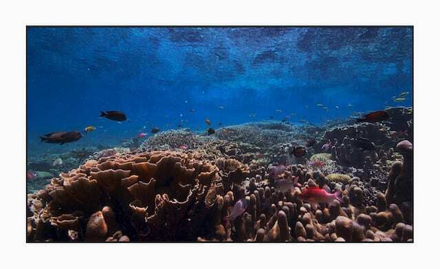 Écran de veille sous la mer sur tvOS 13