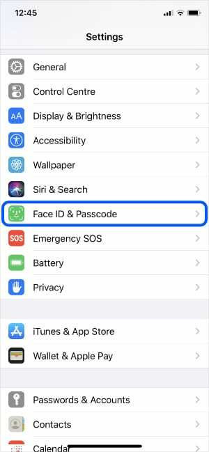 Επιλογή Face ID & Passcode στις Ρυθμίσεις iPhone