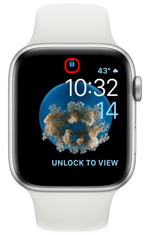 синий значок замка на Apple Watch
