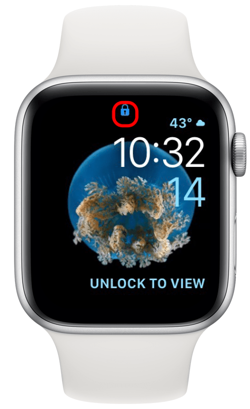 Apple Watch의 파란색 자물쇠 아이콘