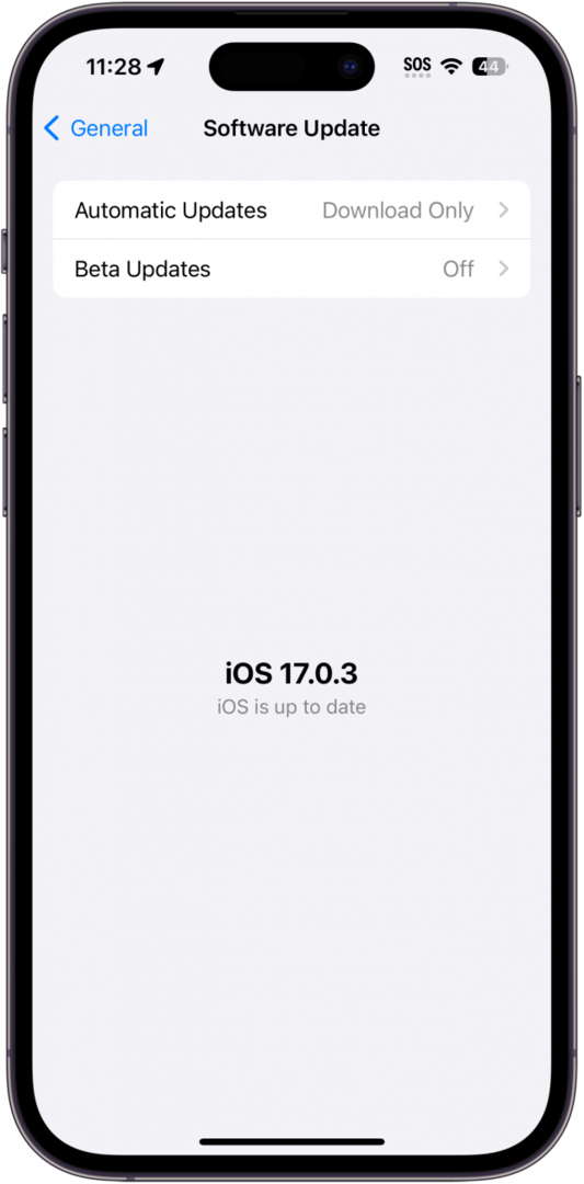 obrazovka aktualizácie softvéru iphone, ktorá ukazuje, že iPhone je aktuálny