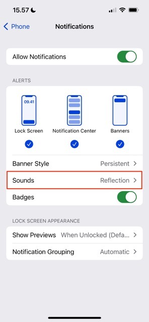 Screenshot che mostra le impostazioni audio su iPhone