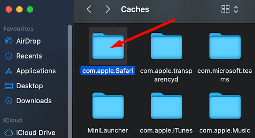 com.apple_.Safary-caches