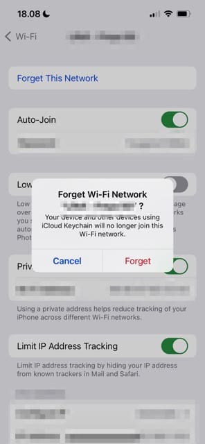 Скриншот сети iPhone «Забыть Wi-Fi»
