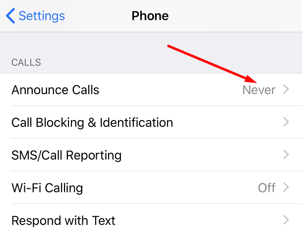Anrufe ankündigen iPhone