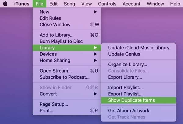 डुप्लिकेट आइटम दिखाएँ iTunes