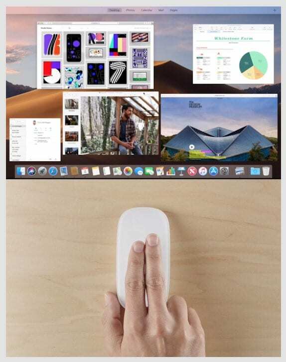 معاينة إيماءة Magic Mouse