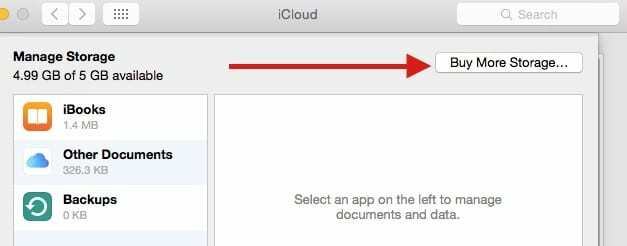 Kaip nustatyti „Icloud“ diską