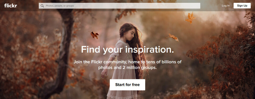 Flickr – podobna strona PhotoBucket