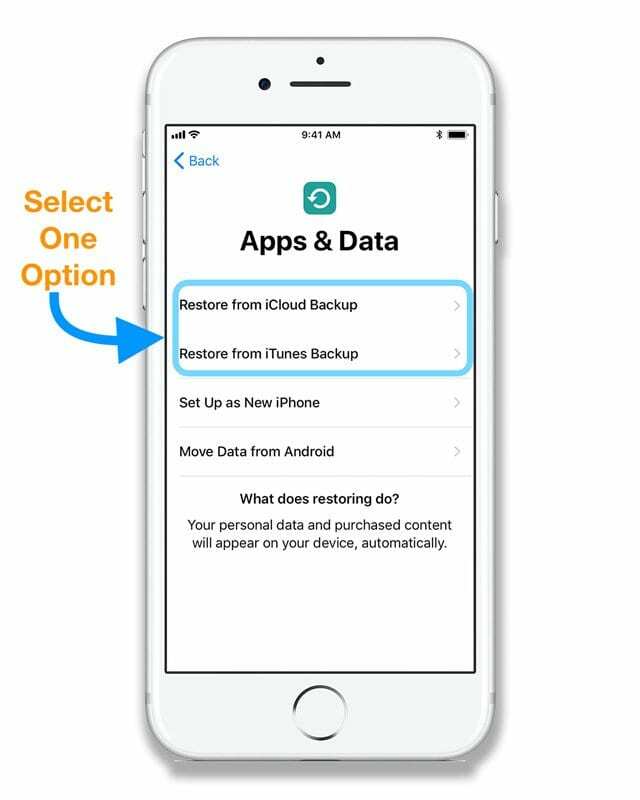 새로운 iDevice, iPhone, iPad, iPod용 iCloud 또는 iTunes 백업에서 복원하는 옵션