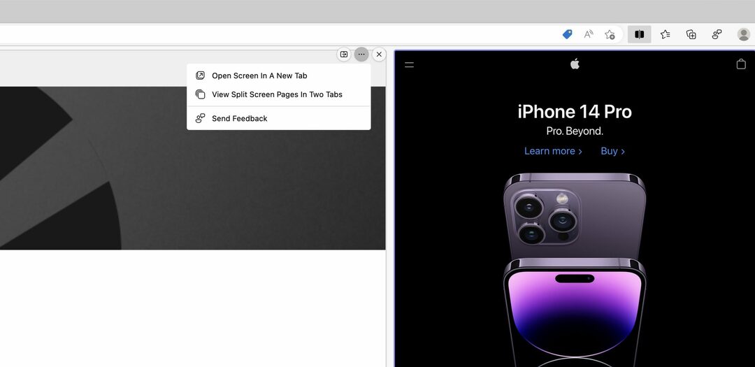 Sådan aktiverer og bruger du Split Screen i Microsoft Edge på macOS - 8