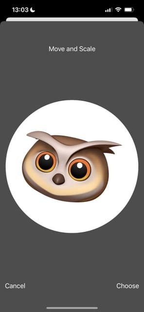 Flyt og skaler din Memoji på iOS