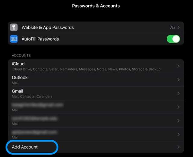 დაამატეთ ელ.ფოსტის ანგარიში პაროლების და ანგარიშების პარამეტრებში iPad ბნელ რეჟიმში