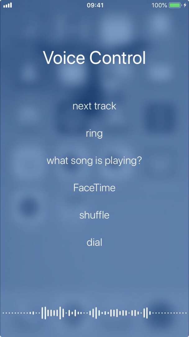 Seznam ovládacích prvků hlasového ovládání na iPhone