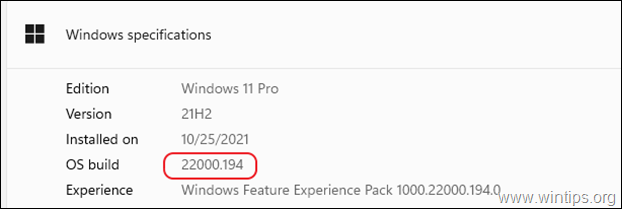 Näytä Windows 11 Build