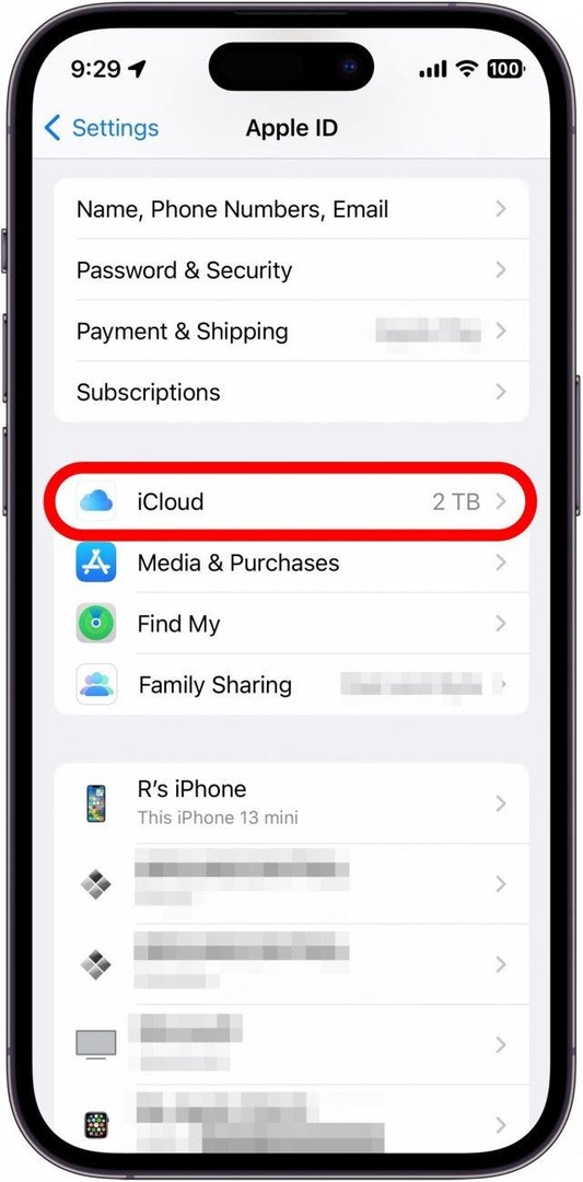 Tocca iCloud.