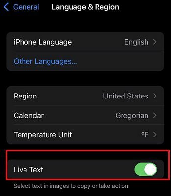 Live-Text-iphone-პარამეტრები