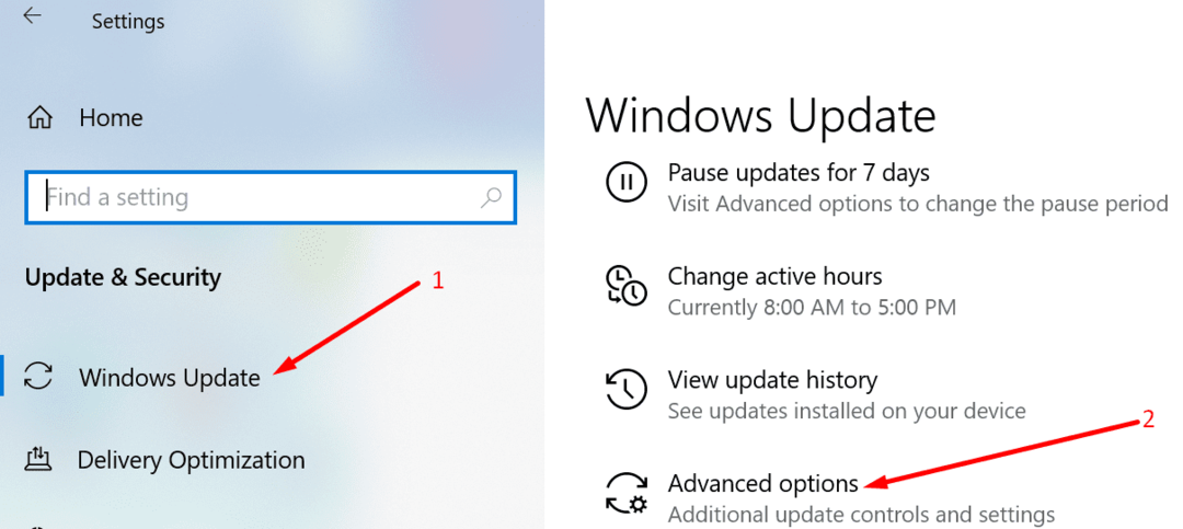 Windows 10 erweiterte Update-Optionen