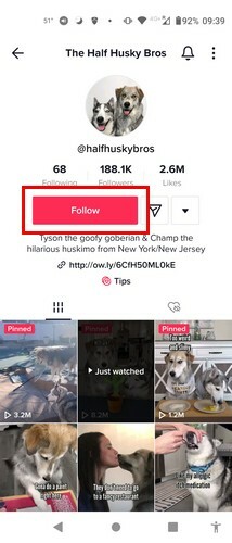 Slijedite nekoga na TikTok-u