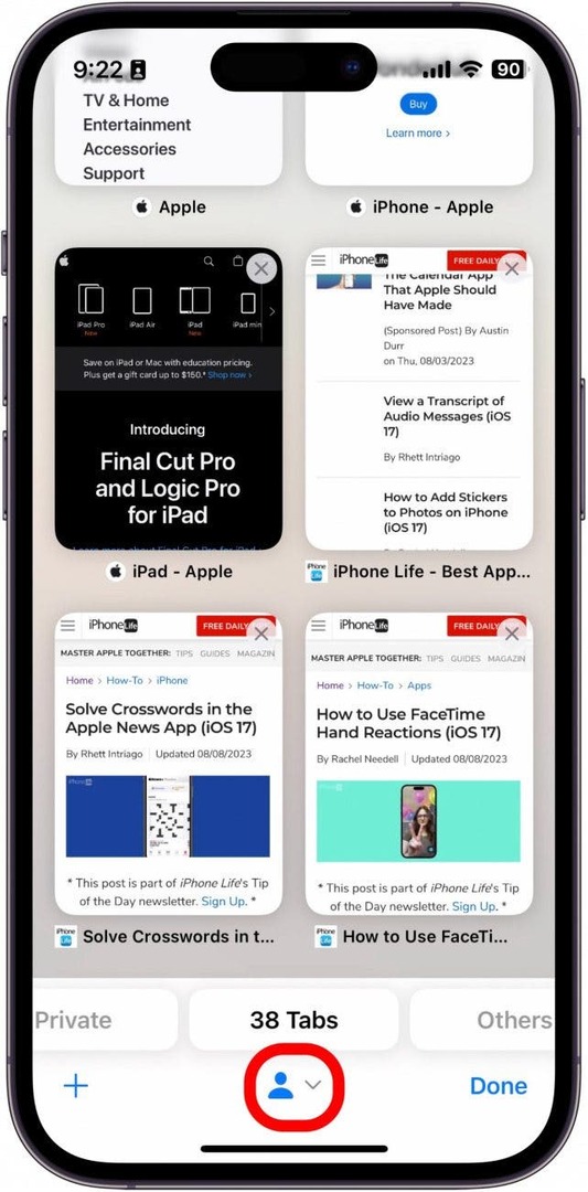 Вкладки iPhone Safari со значком профиля, обведенным красным