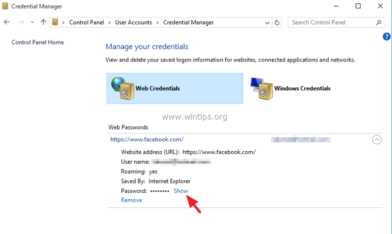 Microsoft Edge Pokaži shranjeno geslo