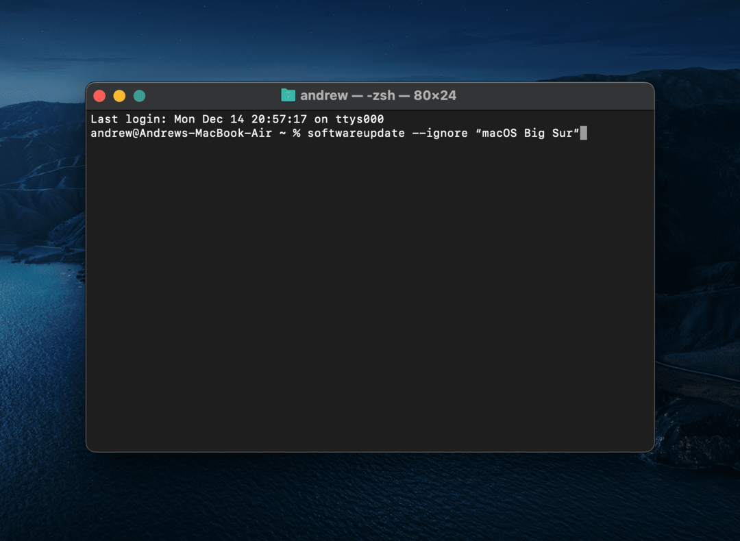 Plain Ignore macOS Big Sur Update Terminal