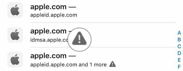 Upozornění na duplicitní heslo v iOS