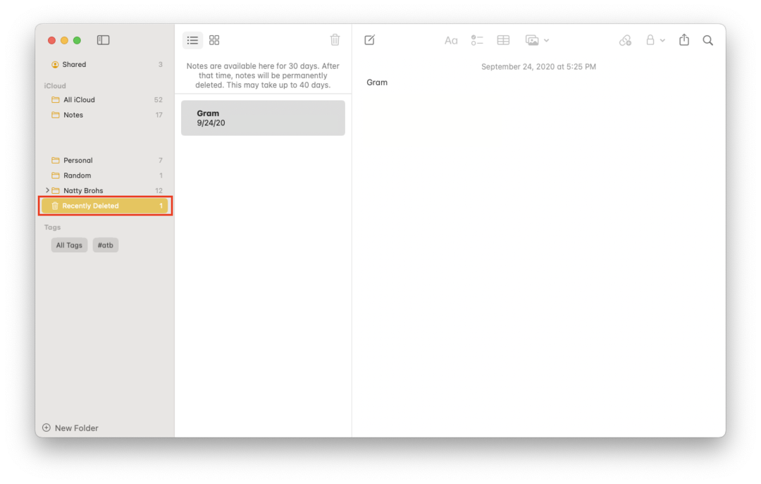 Cara Memulihkan Catatan yang Disimpan di Mac Anda - 2