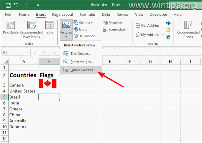 Excel'de Çevrimiçi Resim Nasıl Eklenir?
