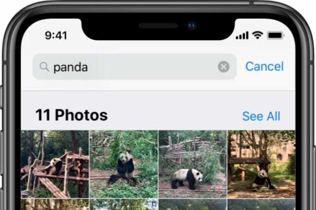 A Photos alkalmazás a Panda elemzett könyvtárában keres