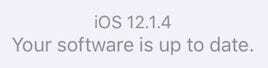 Ekraanipilt, mis näitab, et iOS 12.1.4 tarkvara on ajakohane