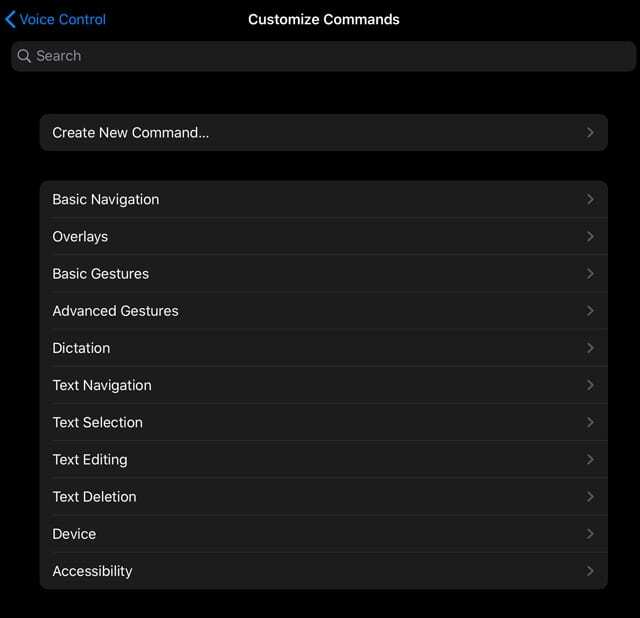 buat perintah Anda sendiri di pengaturan aksesibilitas kontrol suara iOS 13 dan iPadOS