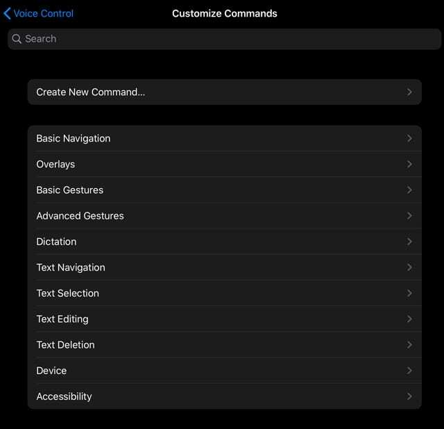 ustvarite svoj ukaz v nastavitvah dostopnosti za glasovno upravljanje iOS 13 in iPadOS
