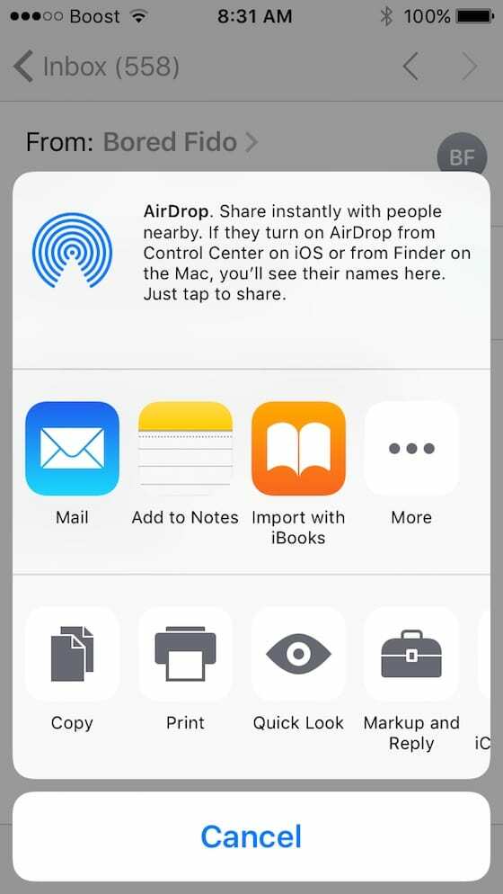 opzioni disponibili per l'allegato di posta iOS 10