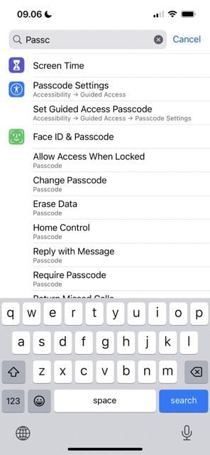 Posnetek zaslona, ​​ki prikazuje, kako poiskati možnost gesla v sistemu iOS