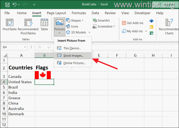 Ako vložiť obrázok zo skladových obrázkov v Exceli.