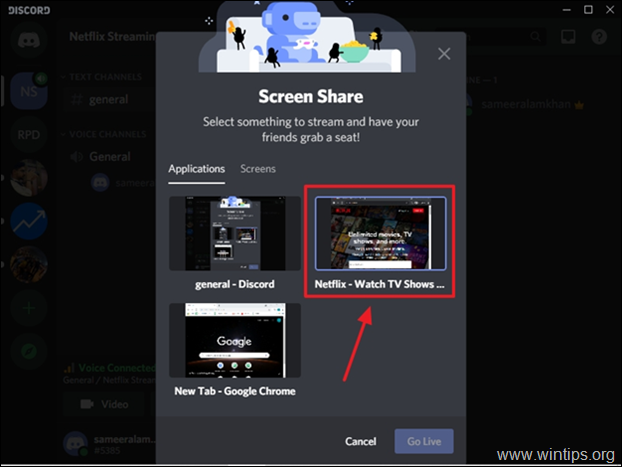 stream netflix video na discord