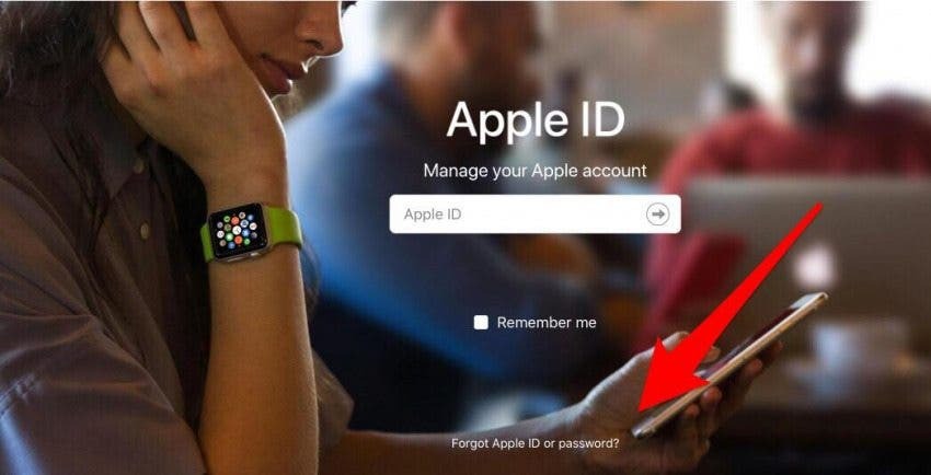 jeg har glemt apple id