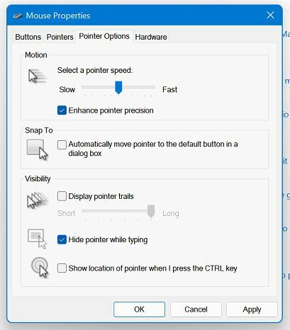 Opzioni del puntatore Windows 11