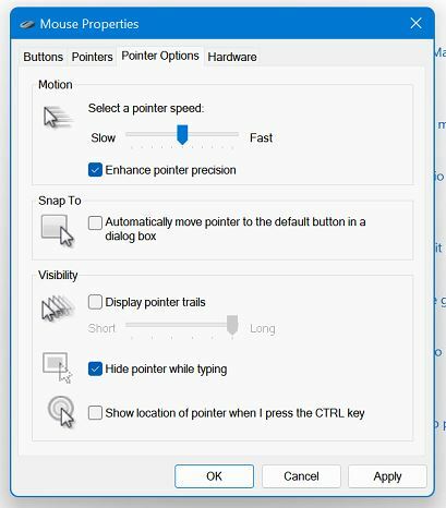 Options du pointeur Windows 11